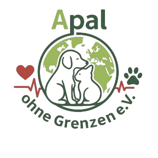 Ein neuer Name.Die selbe Seele