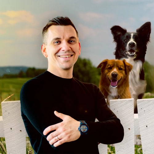 Personal Hundecoach Steve Kaye