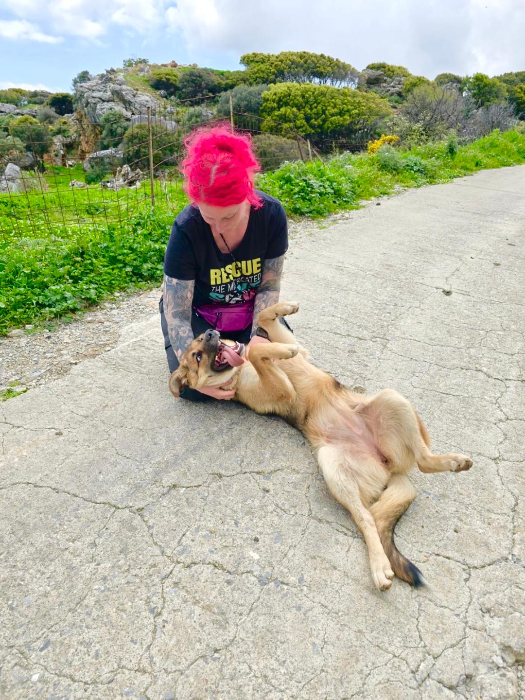 Fortuna Hundepsychologie