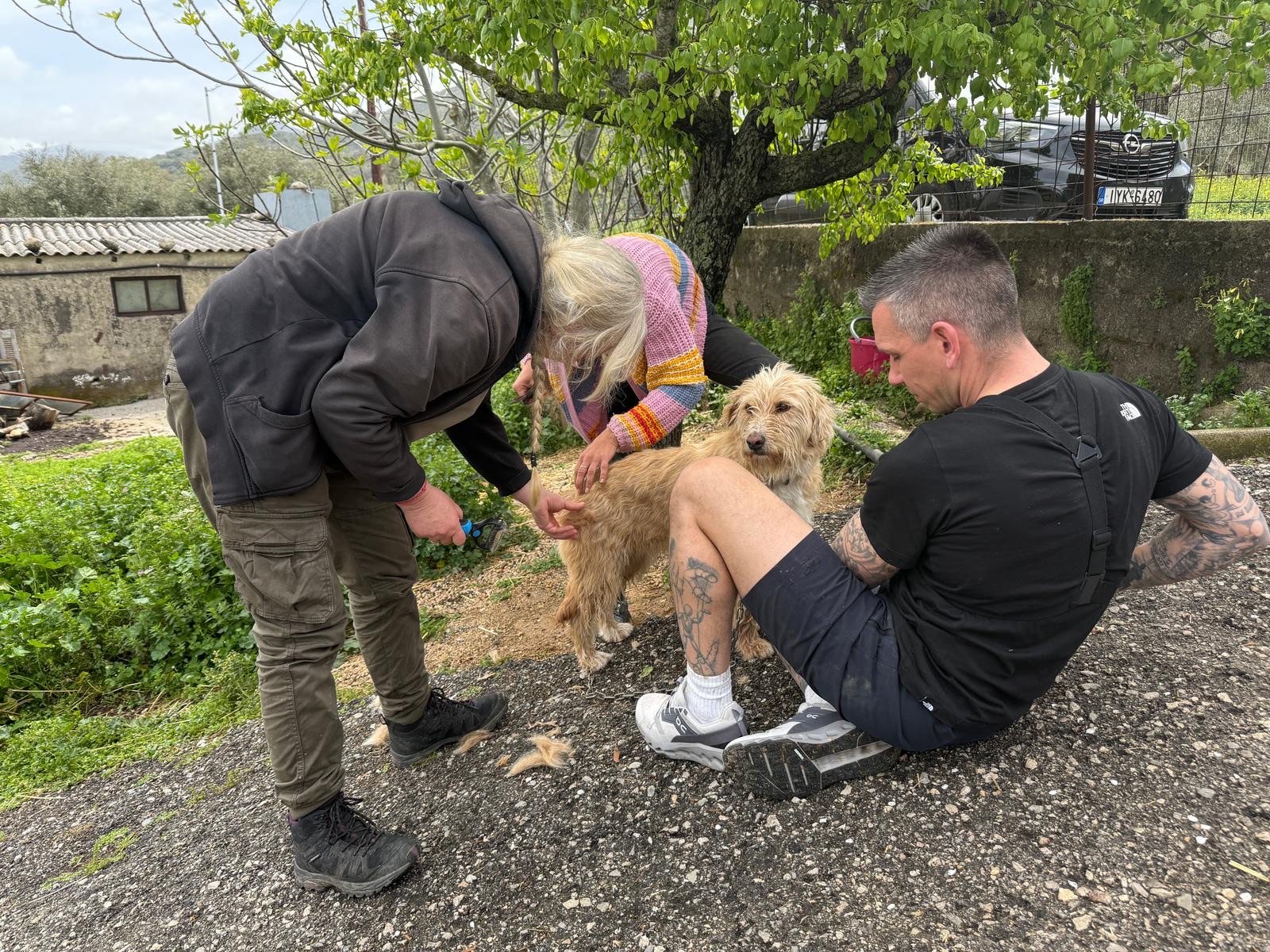 Kettenhunderunde 2026 Kreta