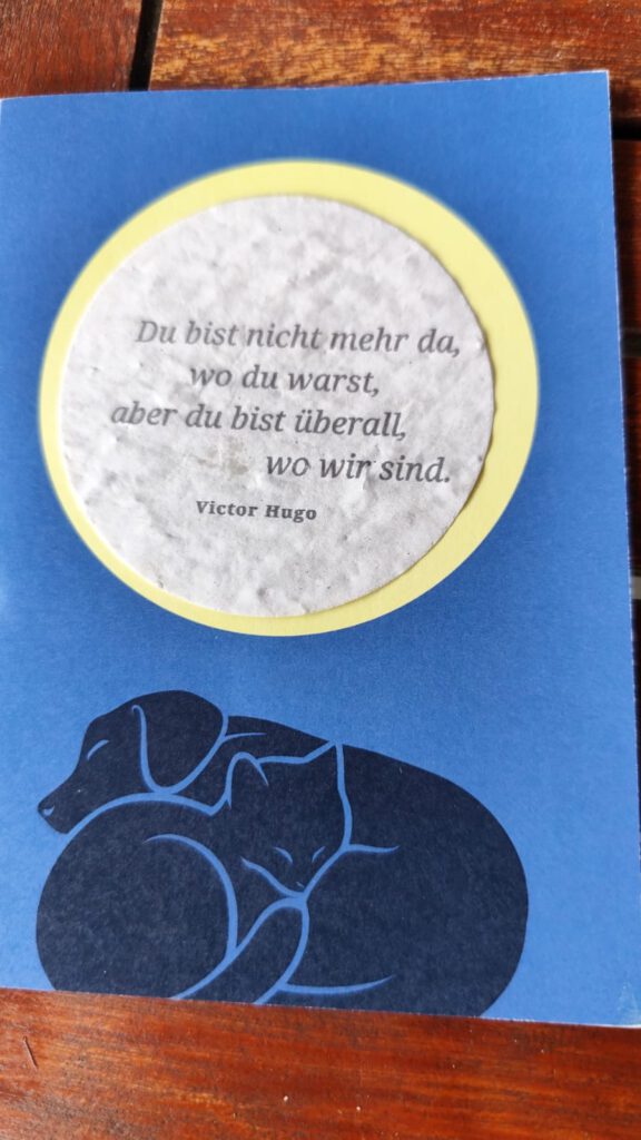 Eine kleine Geste, die uns tief berührt ❤️