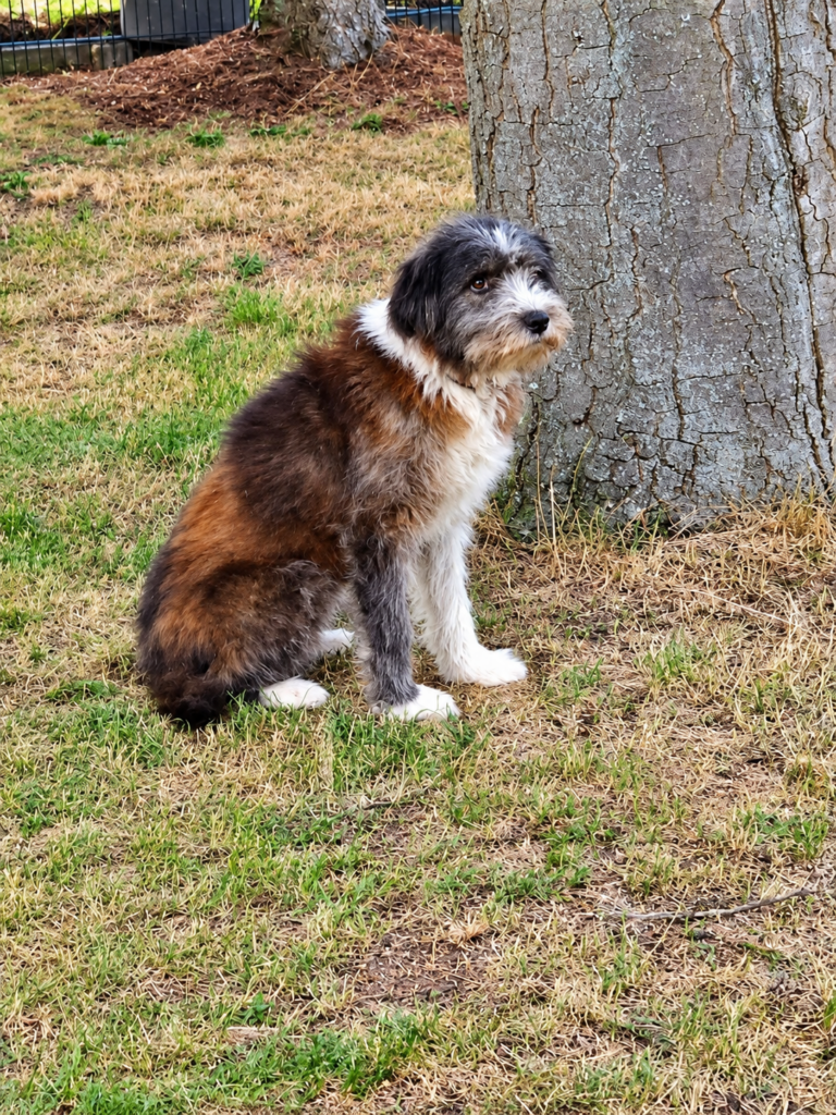 Wanda