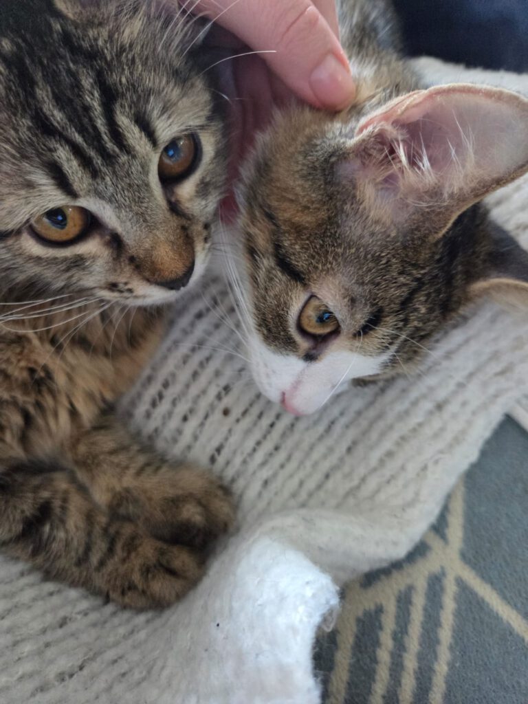 Mila & Maxi