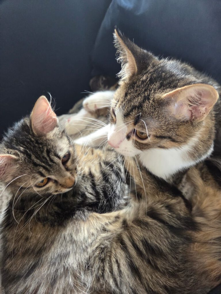 Mila & Maxi