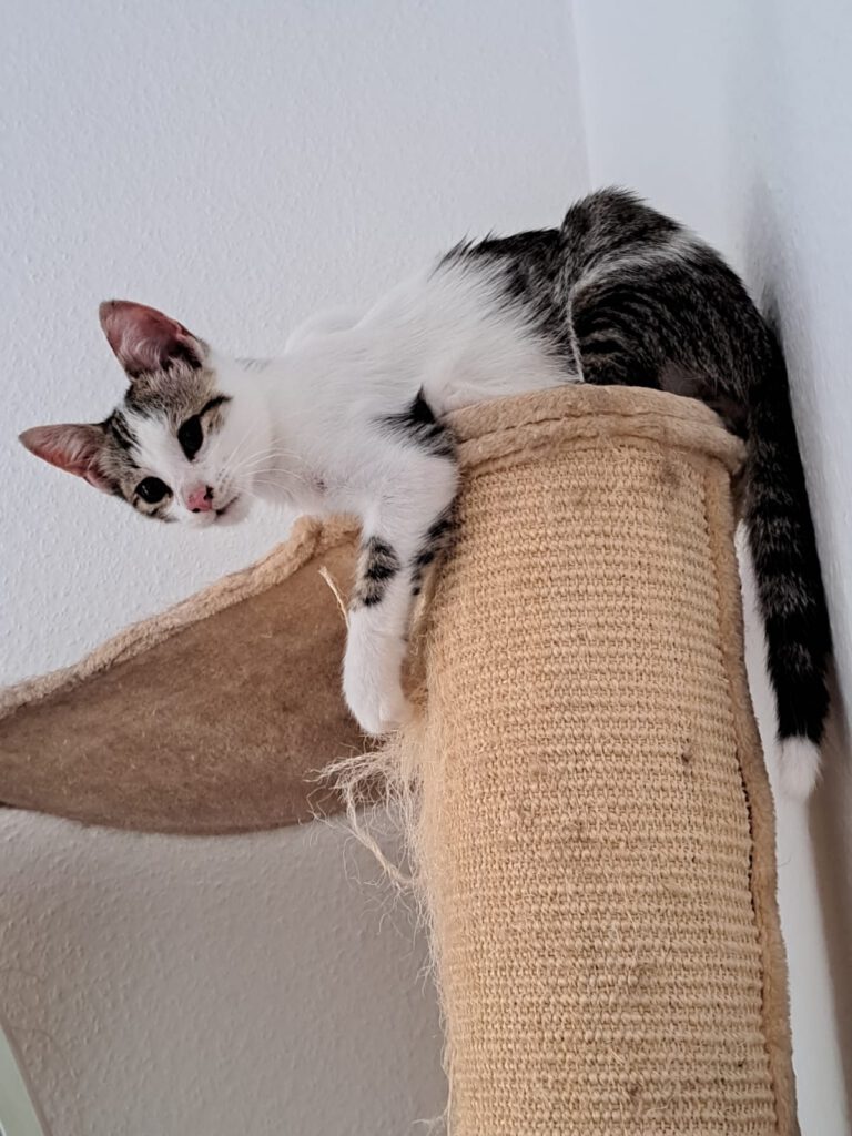 Lily & Milo