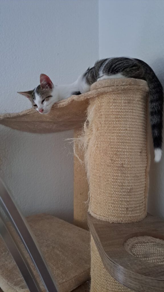 Lily & Milo