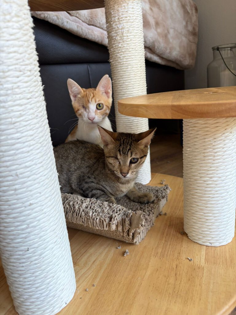 Kleo & Rhea