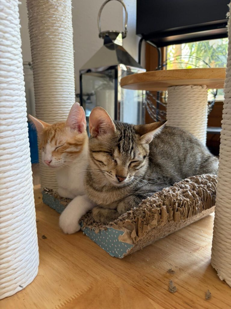 Kleo & Rhea