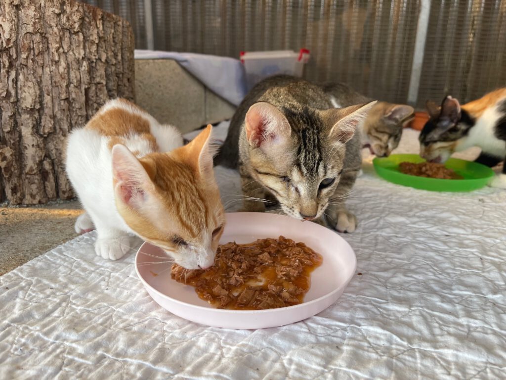 Kleo & Rhea