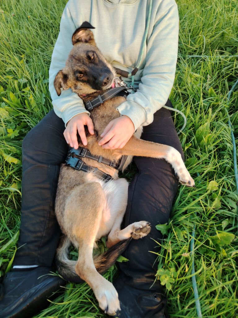 Sam