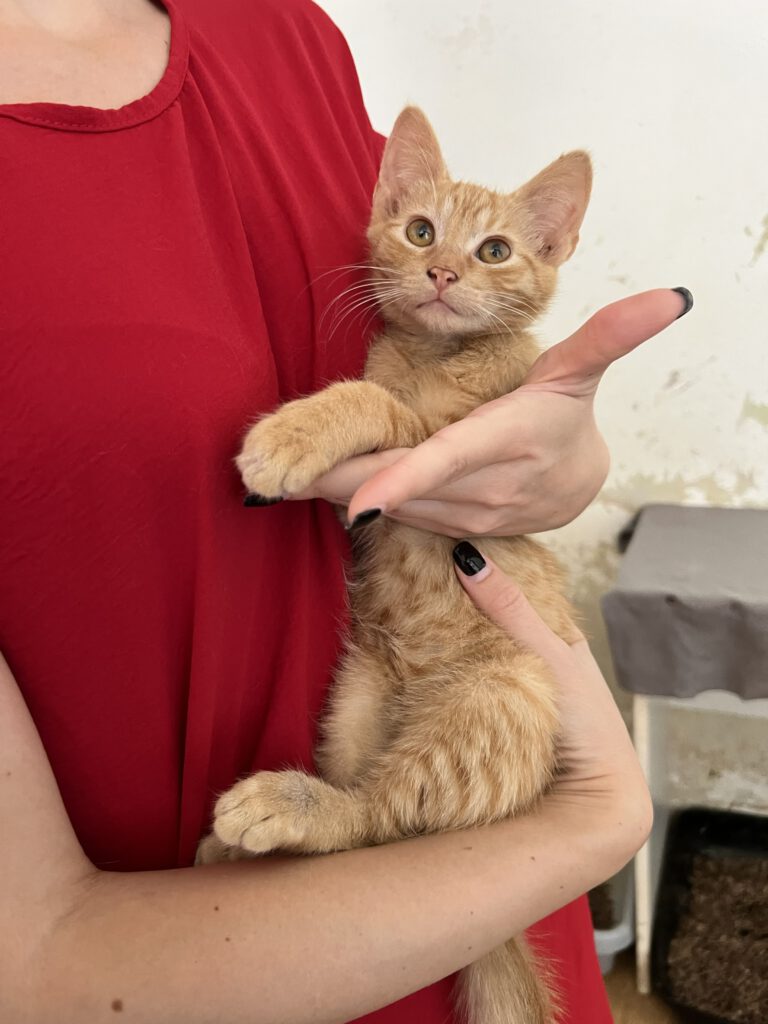 Iliyana & Simba