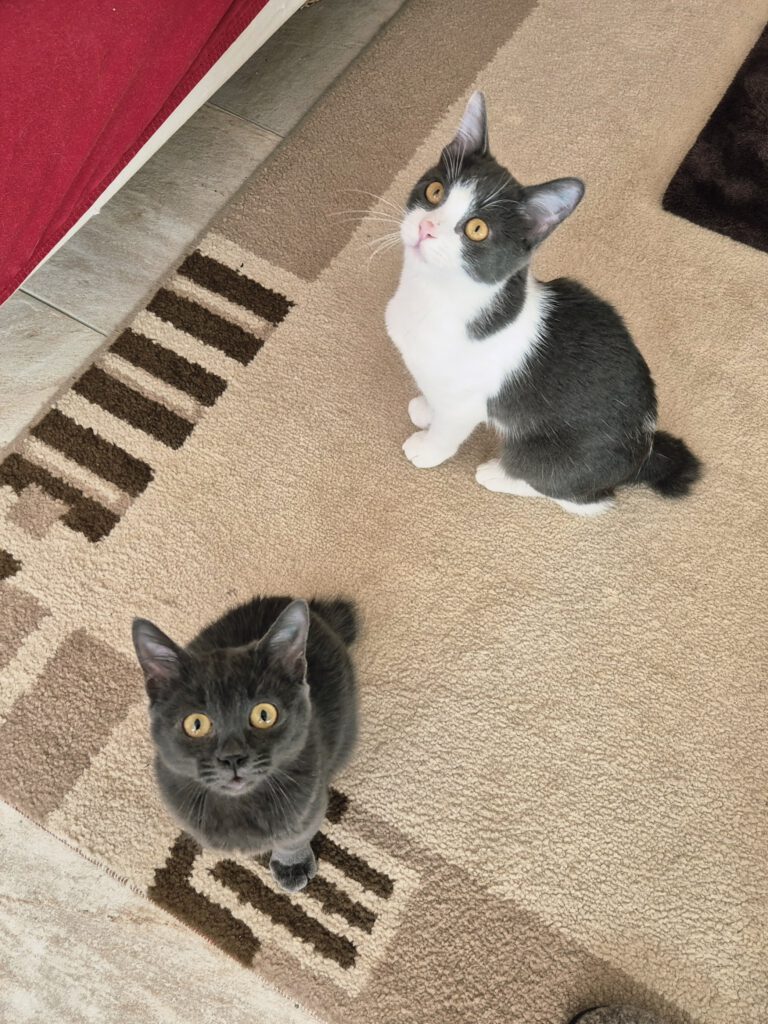 Cleo & Mia