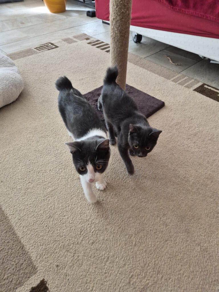Cleo & Mia
