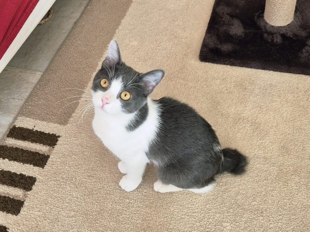 Cleo & Mia