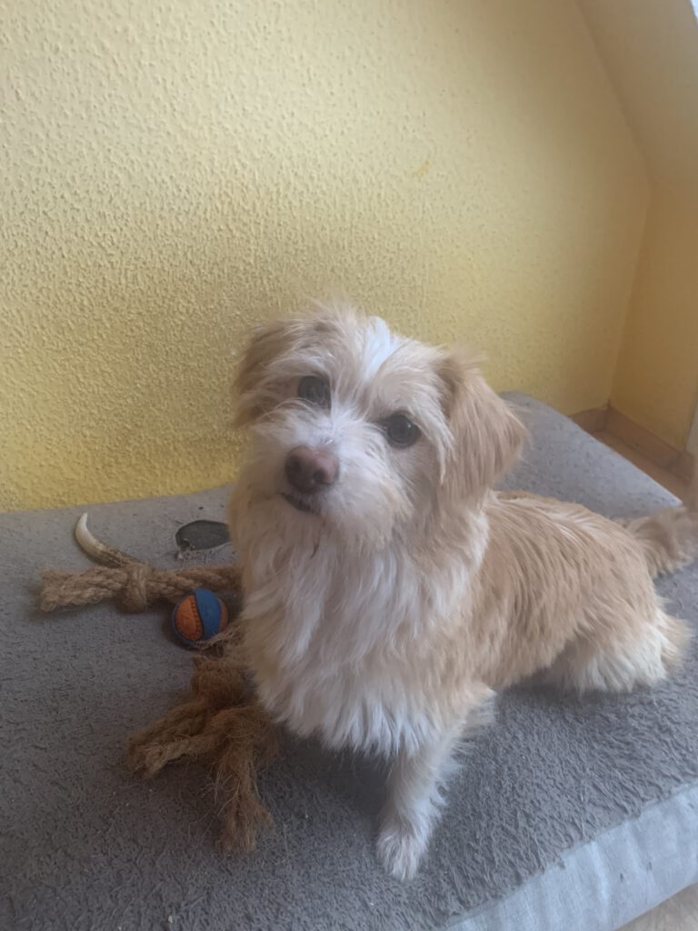 Hope (Tilly)