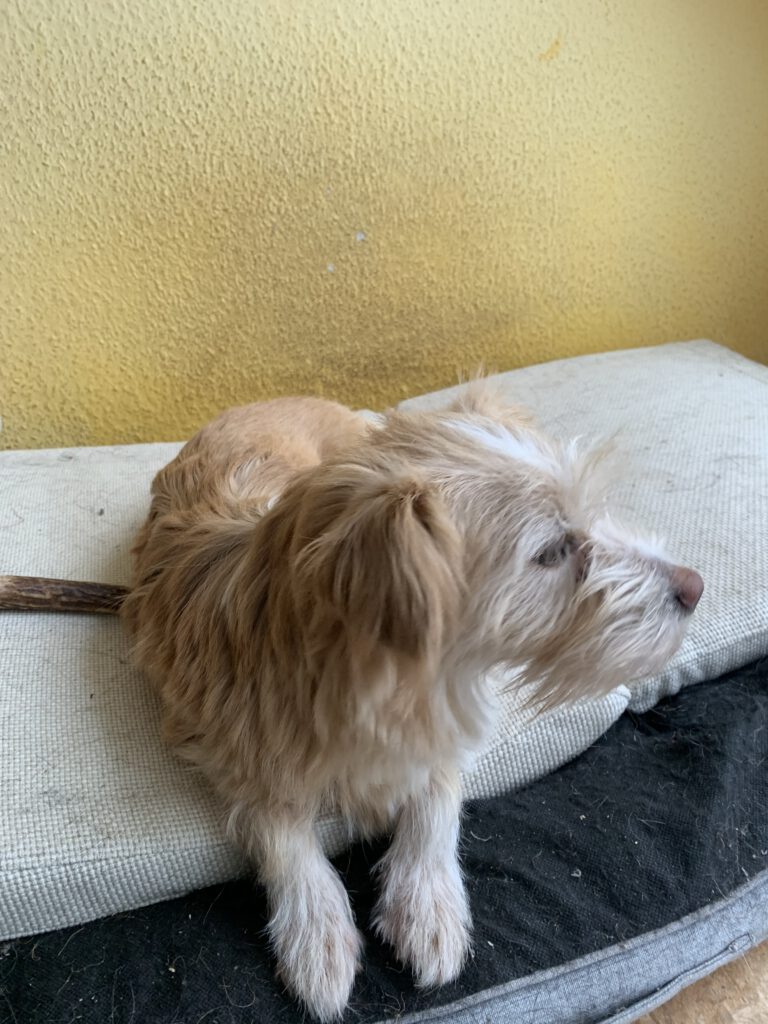 Hope (Tilly)