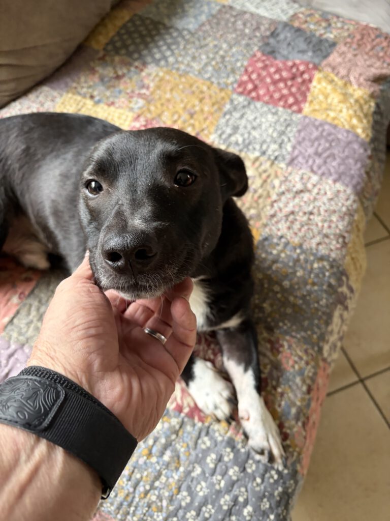 Luis