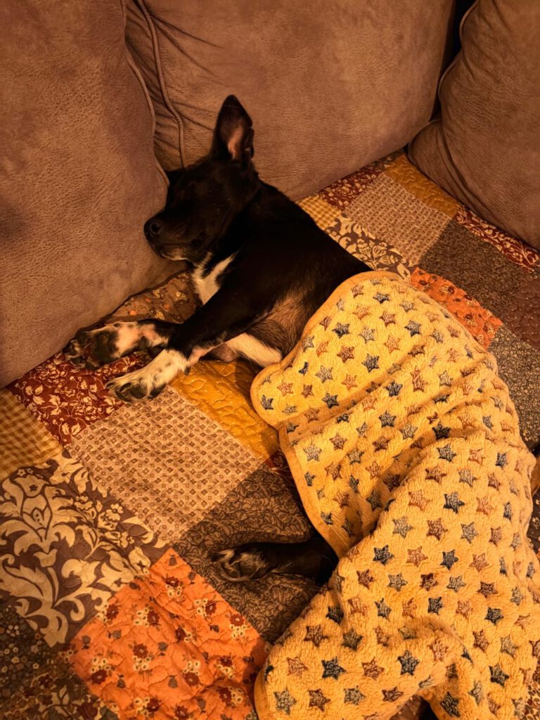 Luis