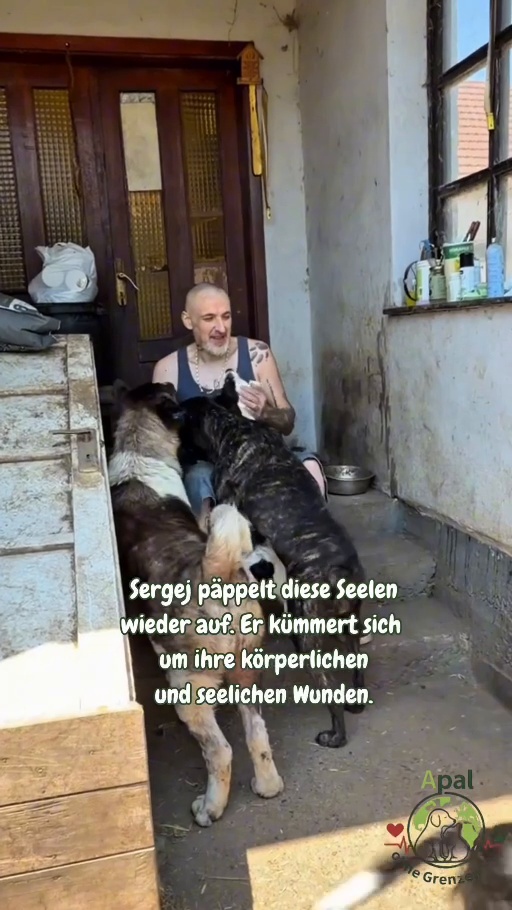 Sergej mit seinen Hunden